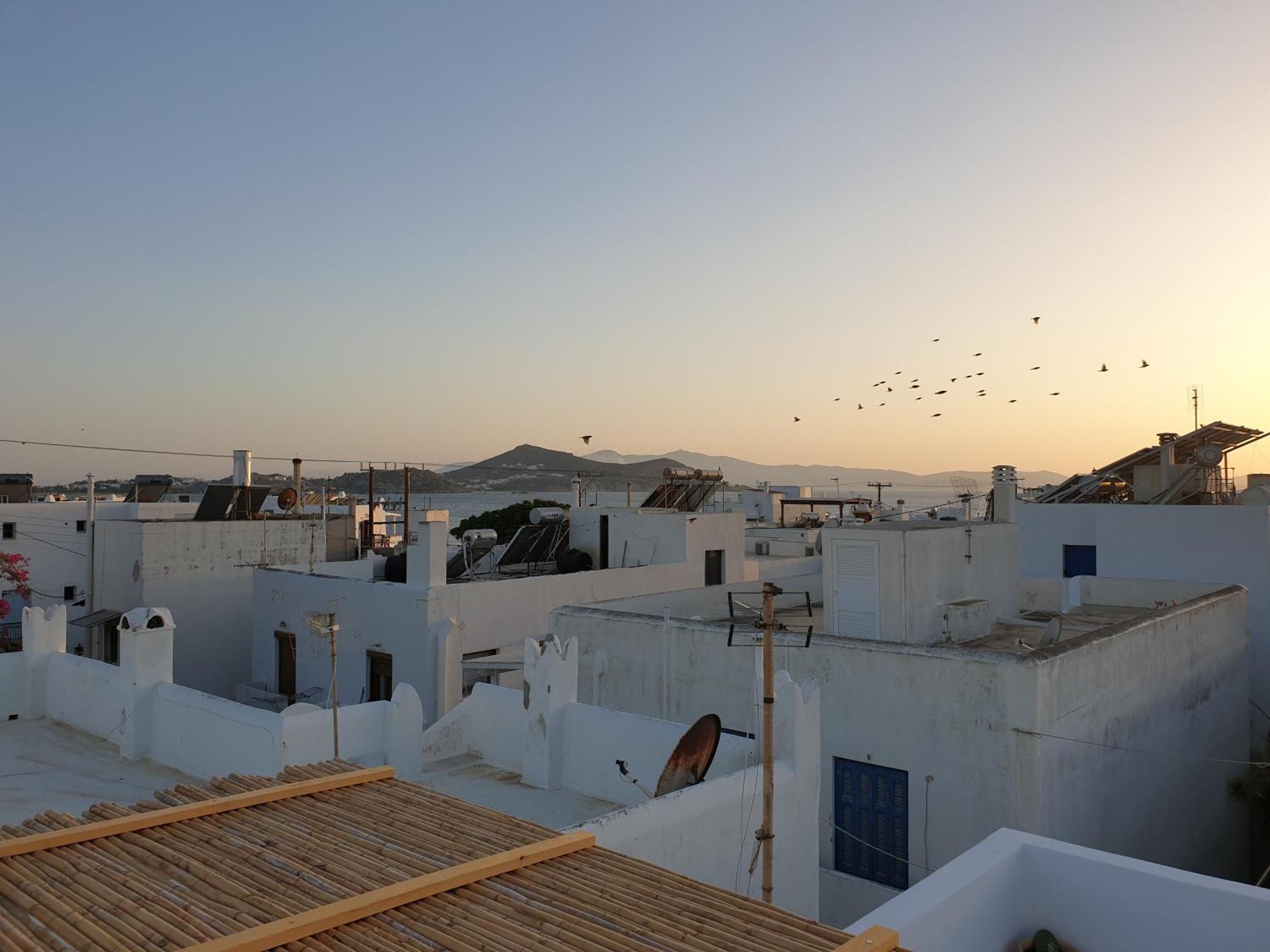 My Island Homes And Residence Naxos City Ruang foto